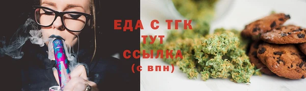 шишки Верхний Тагил